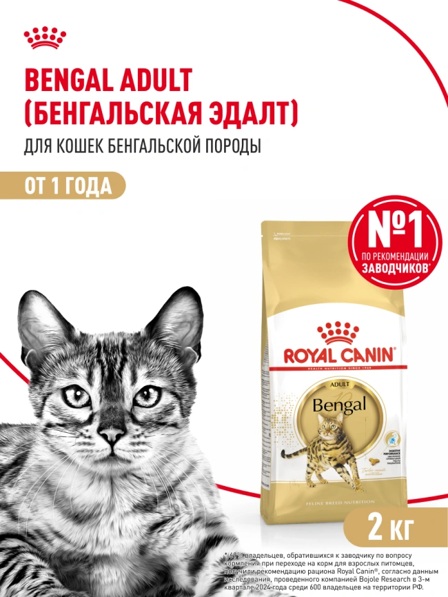 Сухой корм Royal Canin Bengal для кошек бенгальской породы, 2 кг фото 14