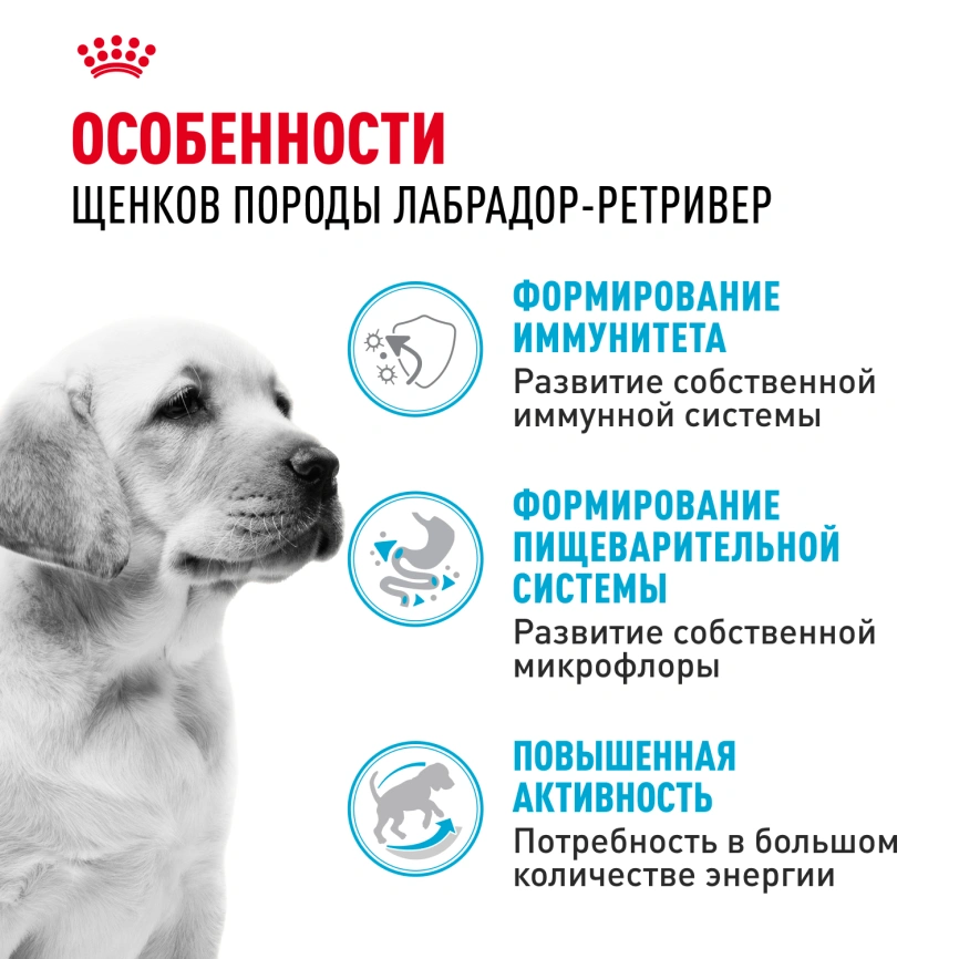Сухой корм Royal Canin Labrador Retriever Puppy для щенков, 12 кг фото 2