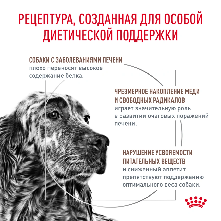 Сухой корм Royal Canin Hepatic для собак, 12 кг фото 3
