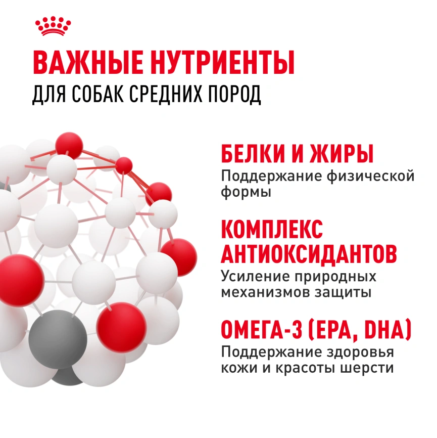 Сухой корм Royal Canin Medium Adult для собак, 3 кг фото 5