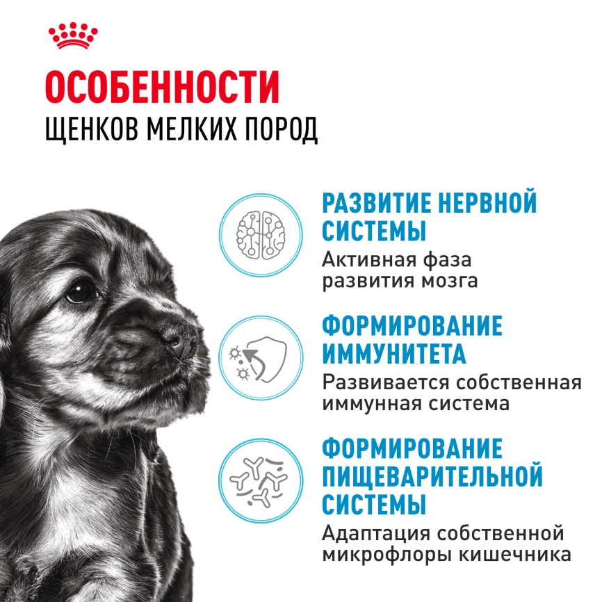 Сухой корм Royal Canin Mini Puppy для щенков, 4 кг фото 2