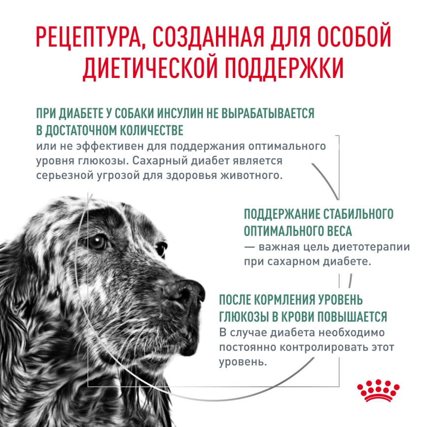 Сухой корм Royal Canin Diabetic для собак, 1.5 кг фото 2