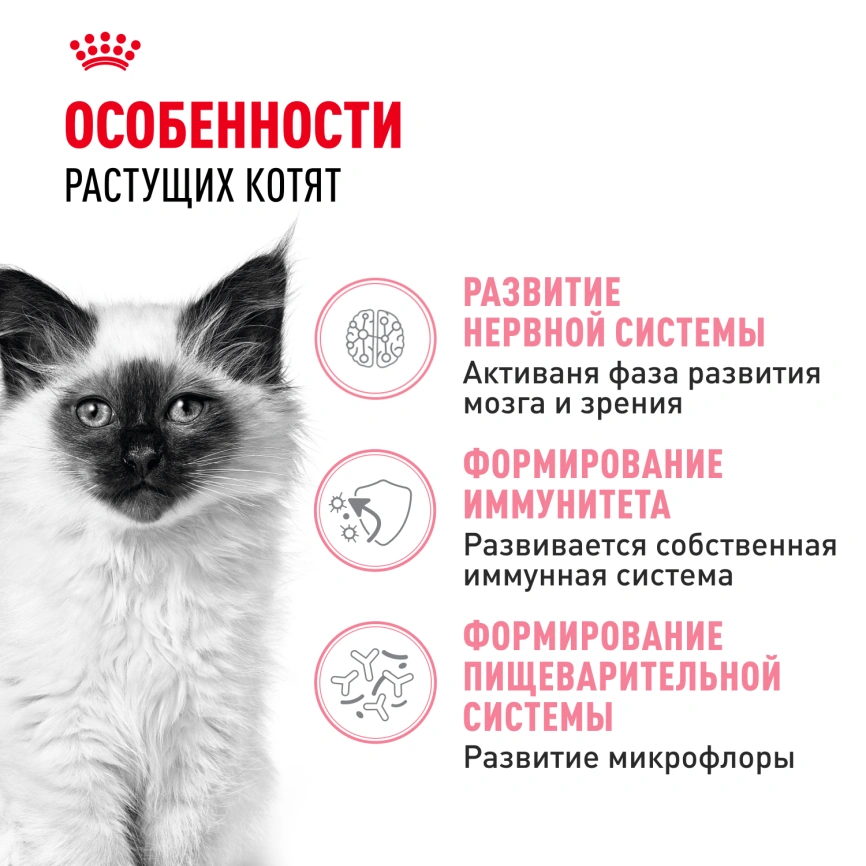 Сухой корм Royal Canin Kitten для котят, 2 кг фото 2