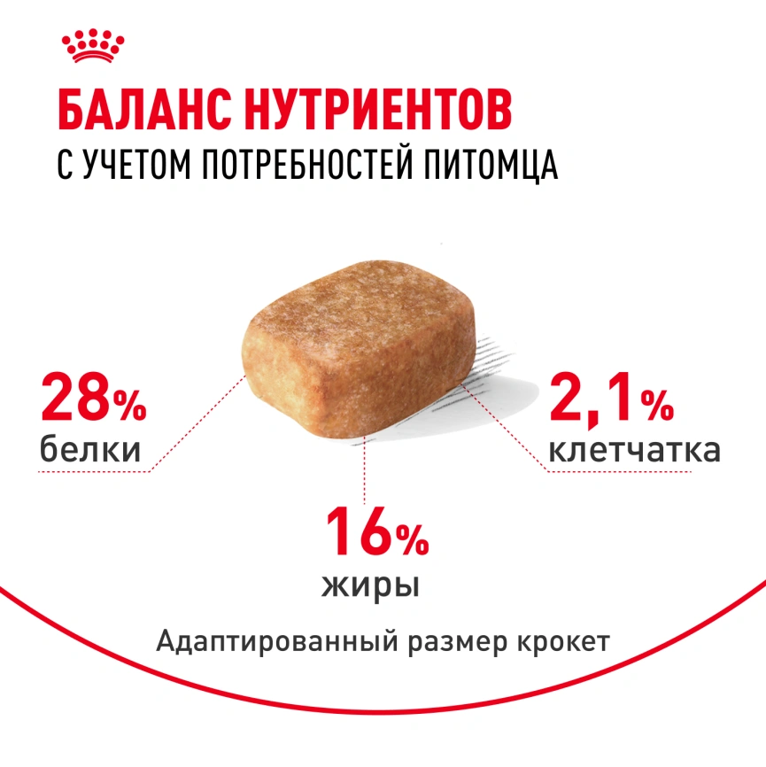 Сухой корм Royal Canin Chihuahua Adult для собак породы чихуахуа, 3 кг фото 4