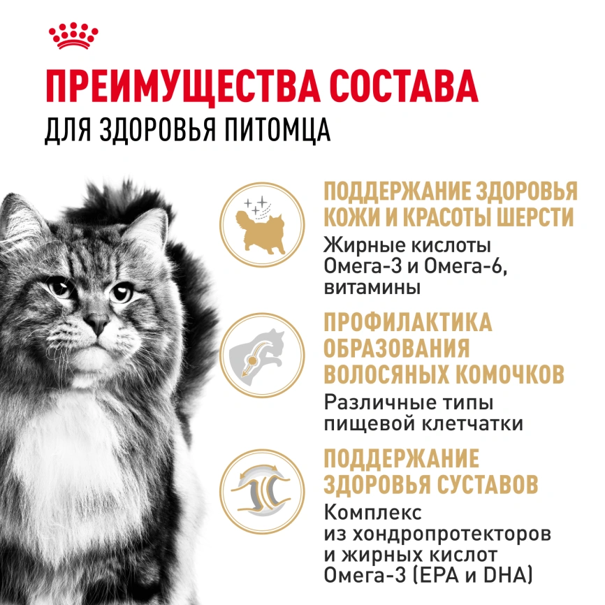 Сухой корм Royal Canin Siberian для кошек, 2 кг фото 3
