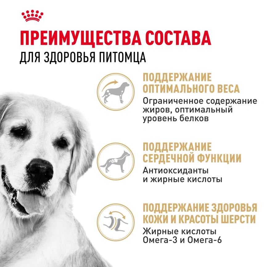 Сухой корм Royal Canin Golden Retriever Adult для собак, 12 кг фото 3
