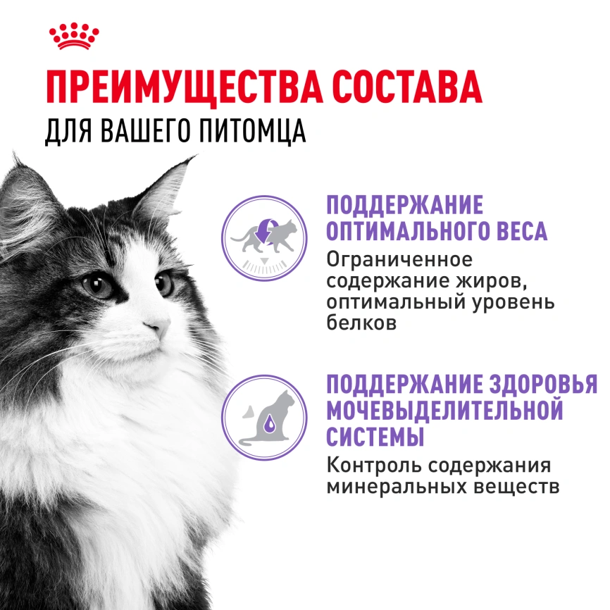 Влажный корм Royal Canin Sterilised паштет для стерилизованных кошек старше 1 года, пауч, 85 г фото 2