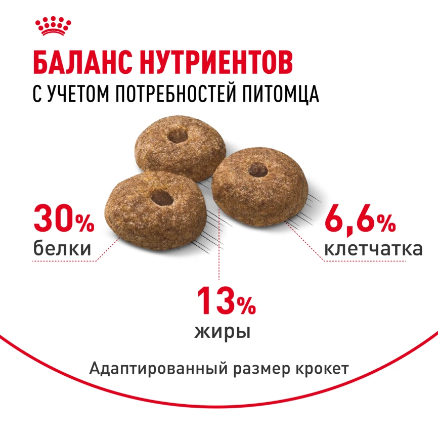 Сухой корм Royal Canin Mini Sterilised для стерилизованных собак, 3 кг фото 4