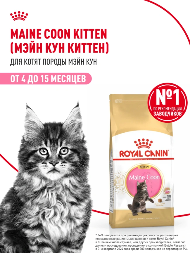 Сухой корм Royal Canin Kitten Maine Coon для котят, 2 кг фото 13