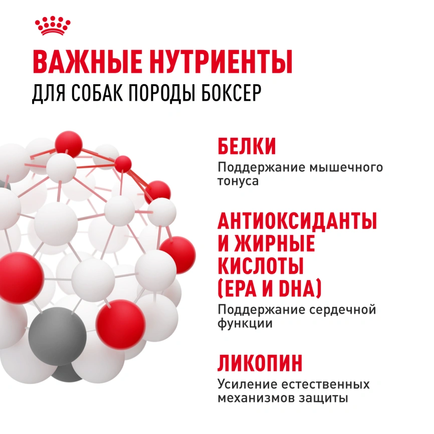 Сухой корм Royal Canin Boxer Adult для собак породы боксер, 12 кг фото 5