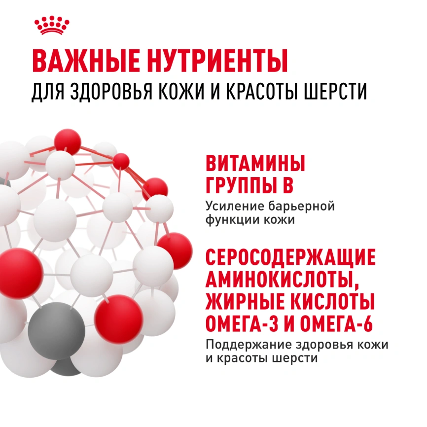 Сухой корм Royal Canin Hair & Skin Care для кошек, 10 кг фото 5
