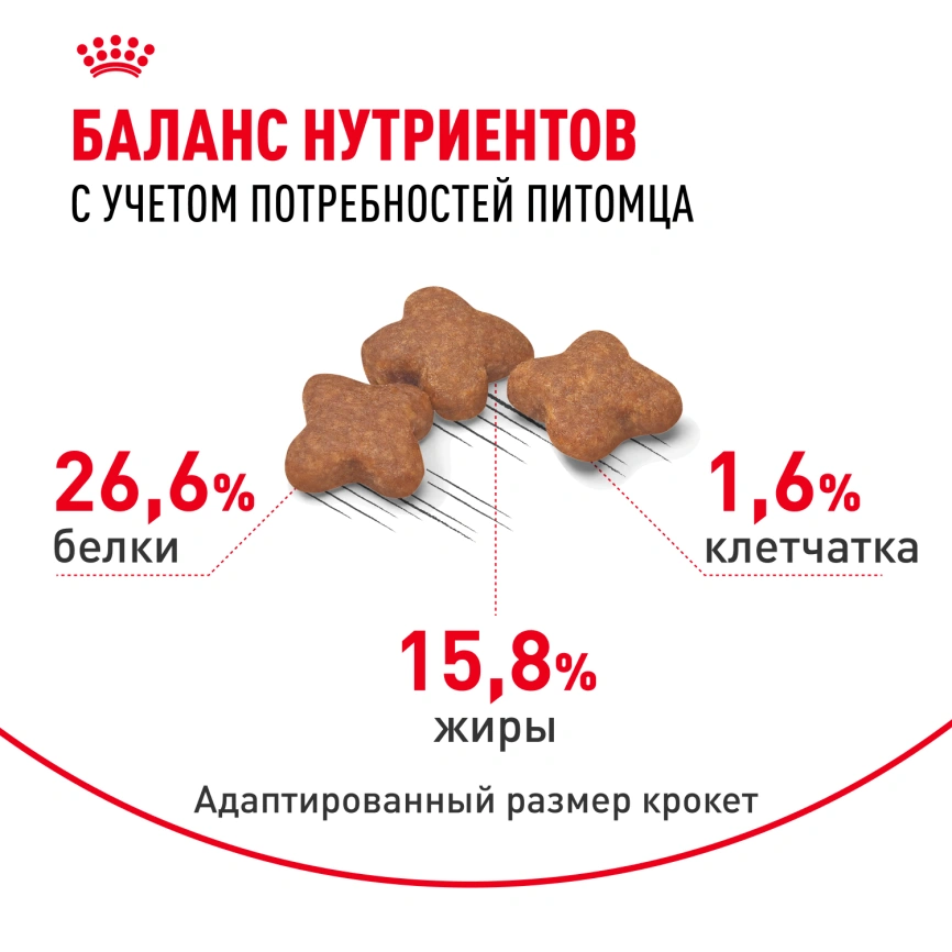Сухой корм Royal Canin Mini Adult 8+ для пожилых собак, 2 кг фото 3