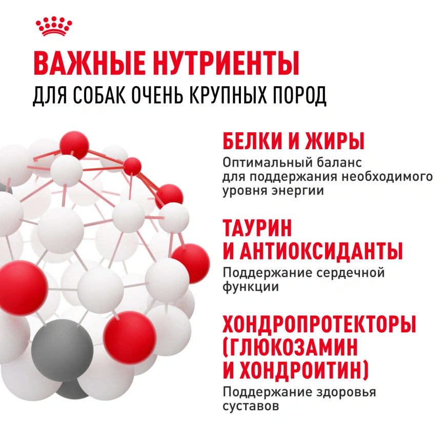 Сухой корм Royal Canin Giant Adult для собак, 15 кг фото 5