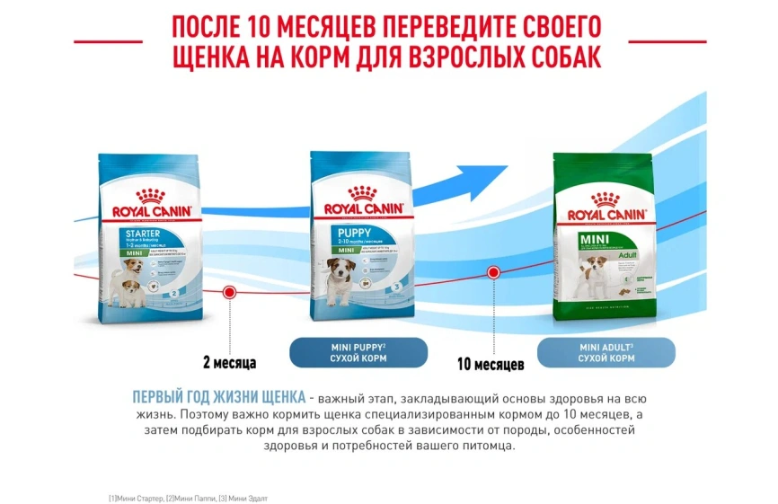 Сухой корм Royal Canin Mini Starter Mother & Babydog для щенков и кормящих сук, 1 кг фото 8