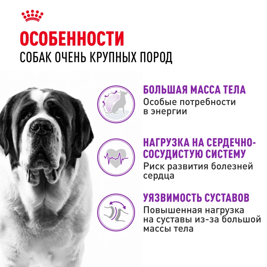 Сухой корм Royal Canin Giant Adult для собак, 15 кг фото 2