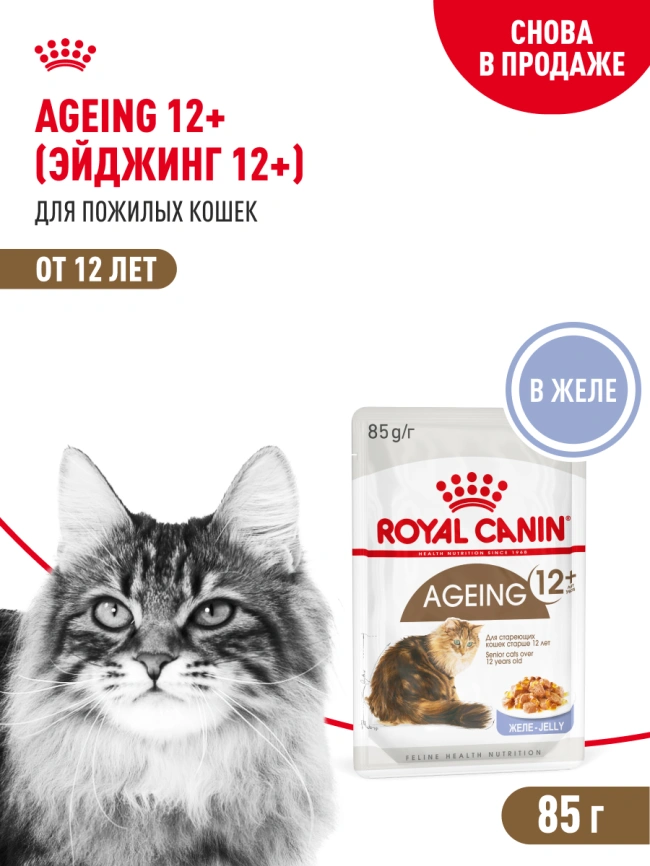 Влажный корм Royal Canin Ageing 12+ в желе для стареющих кошек старше 12 лет, пауч, 85 г фото 15