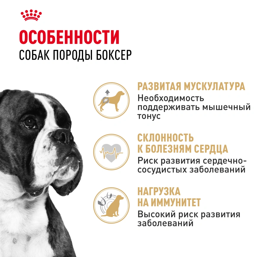 Сухой корм Royal Canin Boxer Adult для собак породы боксер, 12 кг фото 2
