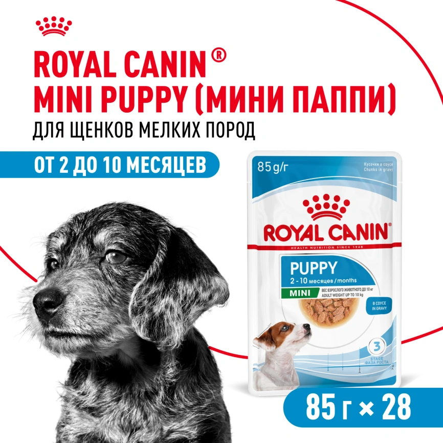 Влажный корм Royal Canin Mini Puppy в соусе для щенков мелких пород до 10 месяцев, пауч, 85 г фото 21