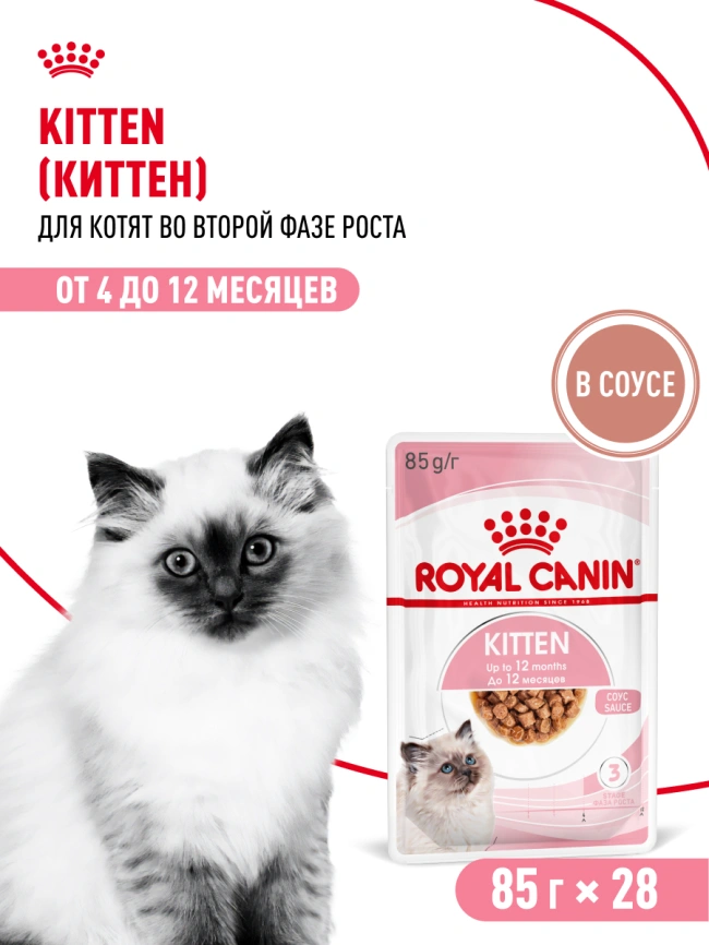 Влажный корм Royal Canin Kitten в соусе для котят до 12 месяцев, пауч, 85 г фото 23