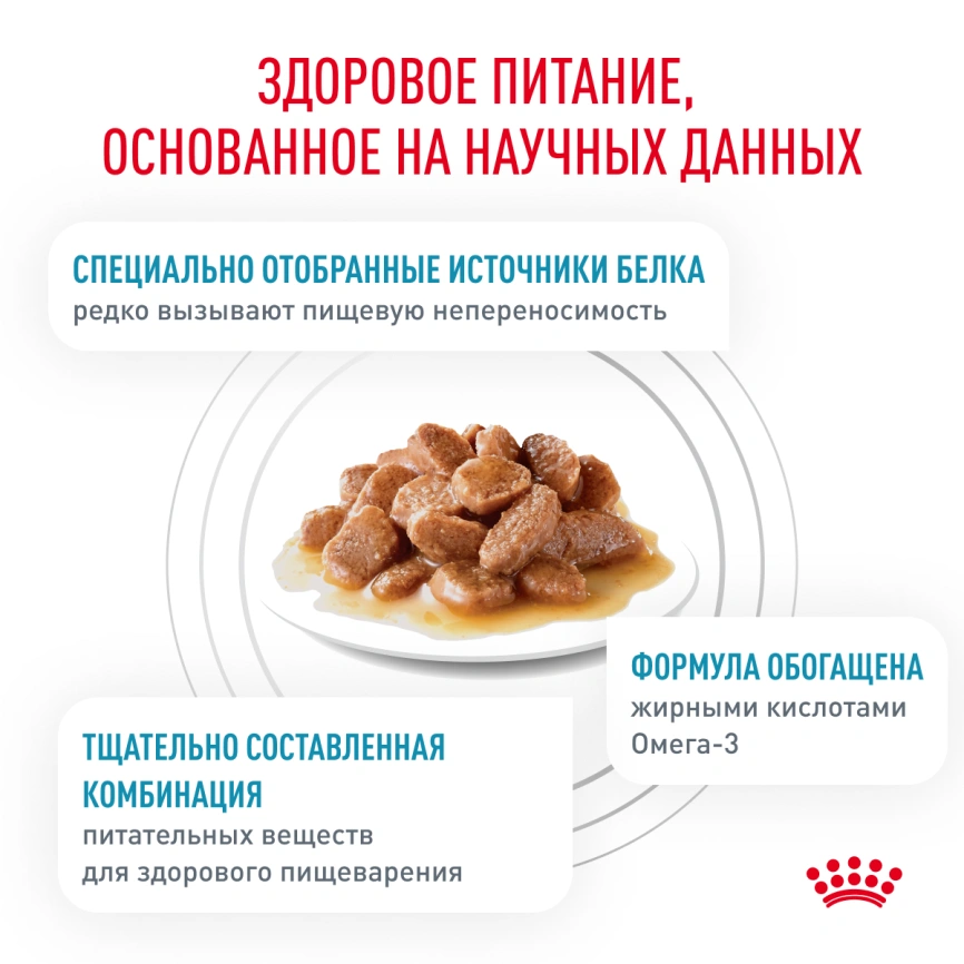 Влажный корм Royal Canin Sensitivity Control в соусе для кошек при пищевой аллергии, с курицей и рисом, пауч, 85 г фото 3