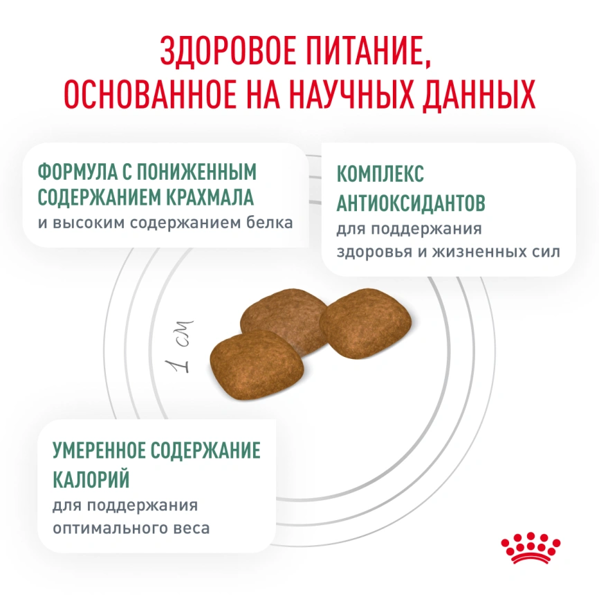 Сухой корм Royal Canin Diabetic для собак, 12 кг фото 4