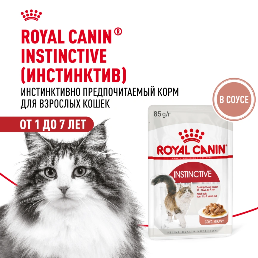Влажный корм Royal Canin Instinctive в соусе для взрослых кошек старше 1 года, пауч, 85 г фото 15