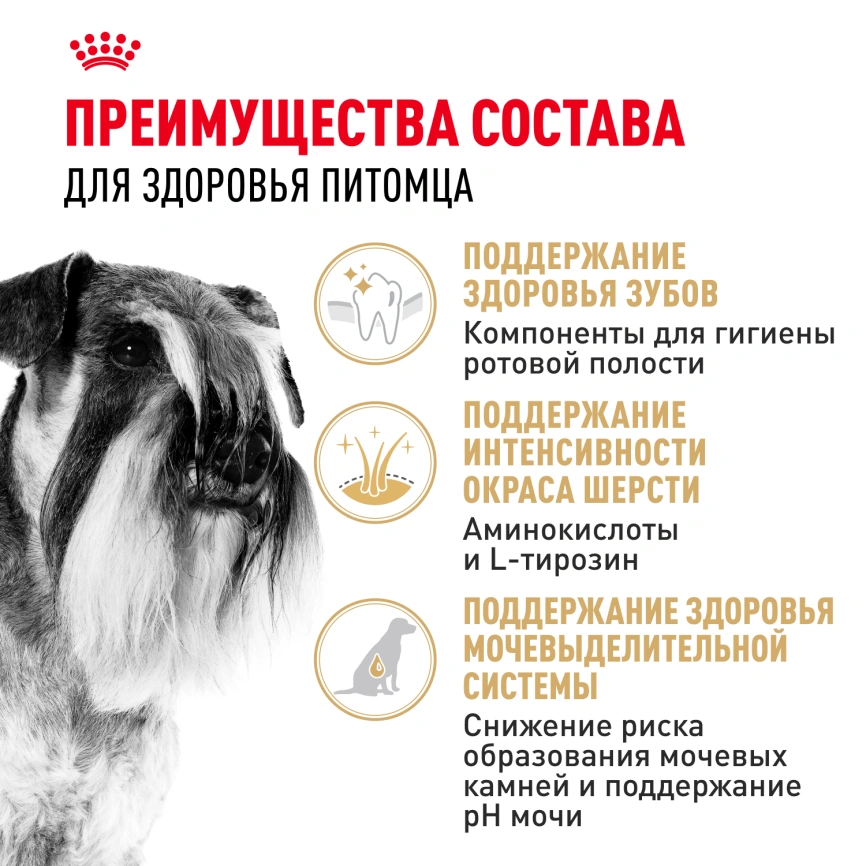 Сухой корм Royal Canin Miniature Schnauzer Adult для собак породы миниатюрный шнауцер, 7.5 кг фото 3