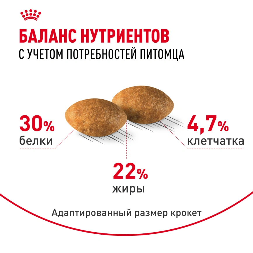 Сухой корм Royal Canin Persian для кошек персидской породы, 10 кг фото 4