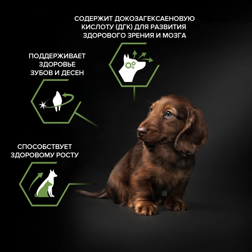 Сухой корм Purina Pro Plan Adult Small & Mini  Puppy Healthy Start для щенков мелких и карликовых пород, курица и рис, 700 г фото 2