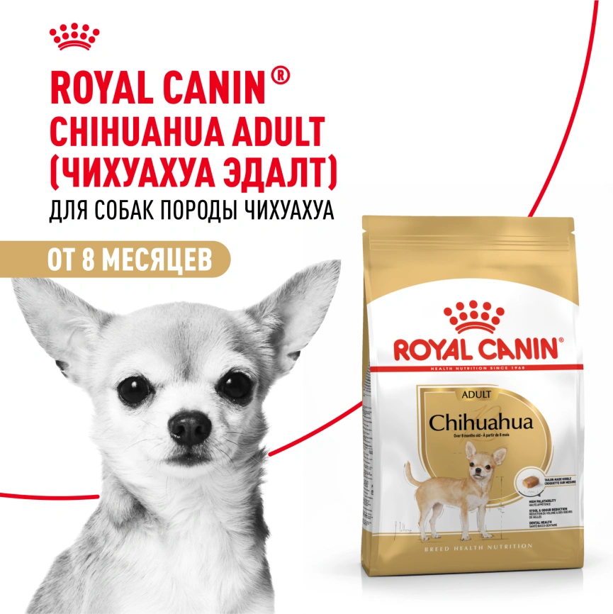Сухой корм Royal Canin Chihuahua Adult для собак породы чихуахуа, 1.5 кг фото 15