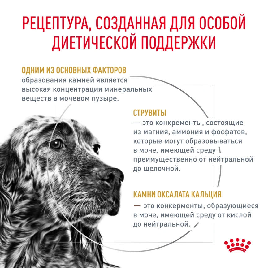 Сухой корм Royal Canin Urinary S/O для собак при мочекаменной болезни и цистите, 13 кг фото 3