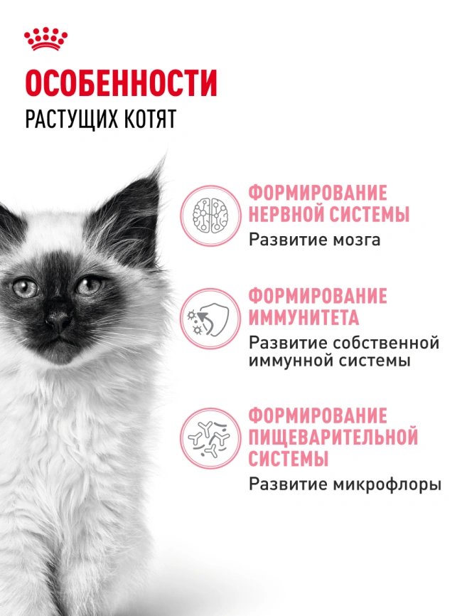 Сухой корм Royal Canin Kitten для котят, 2 кг фото 16