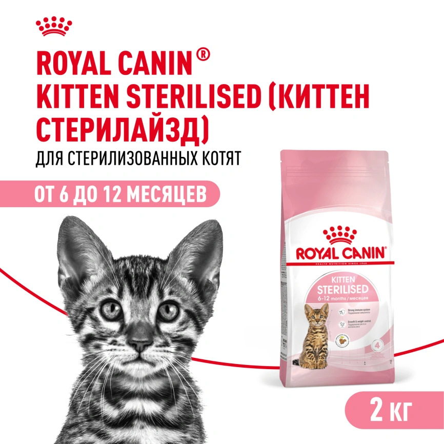 Сухой корм Royal Canin Kitten Sterilised для котят, 2 кг фото 1