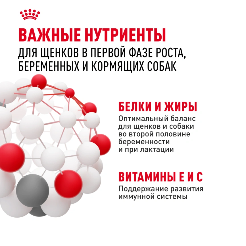 Сухой корм Royal Canin Mini Starter Mother & Babydog для щенков и кормящих сук, 3 кг фото 6