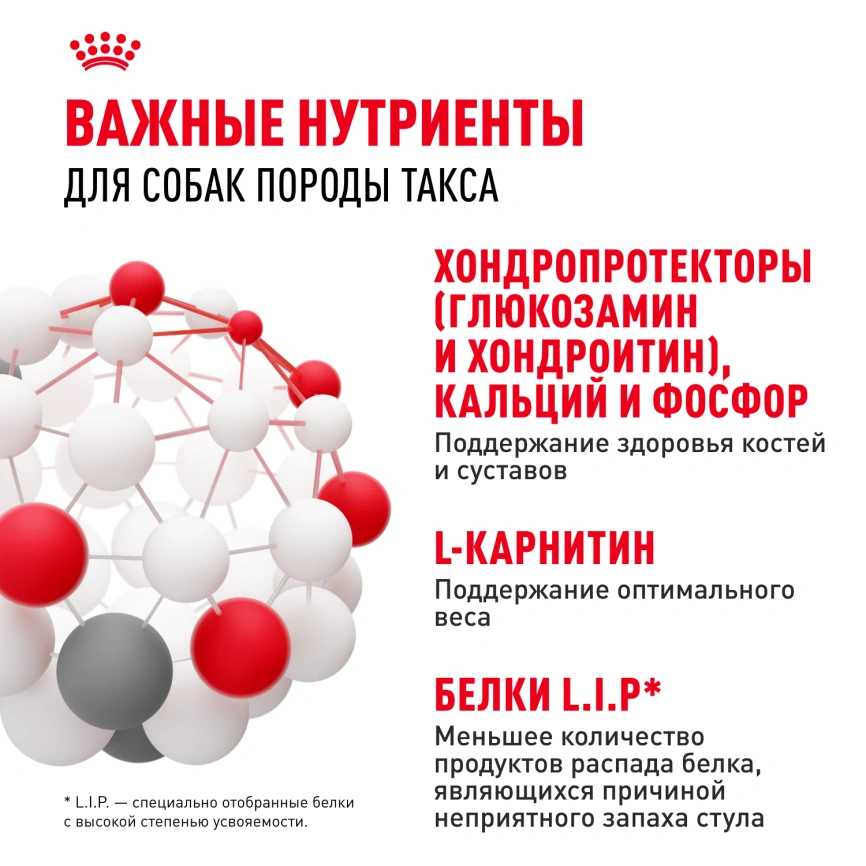 Сухой корм Royal Canin Dachshund Adult для собак породы такса, 7.5 кг фото 5