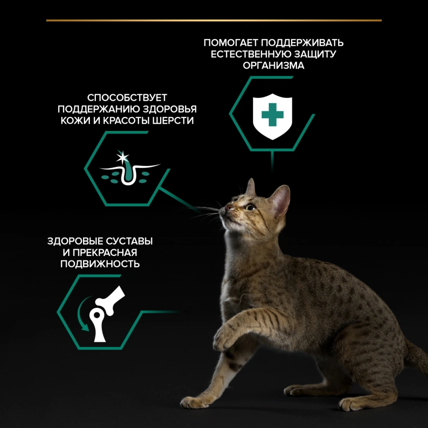 Влажный корм Purina Pro Plan Maintenance для взрослых кошек, с ягненком в желе, 85 г фото 2