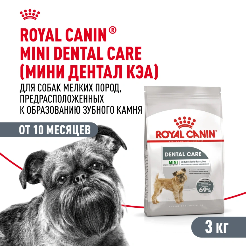 Сухой корм Royal Canin Mini Dental Care для собак, 3 кг фото 1