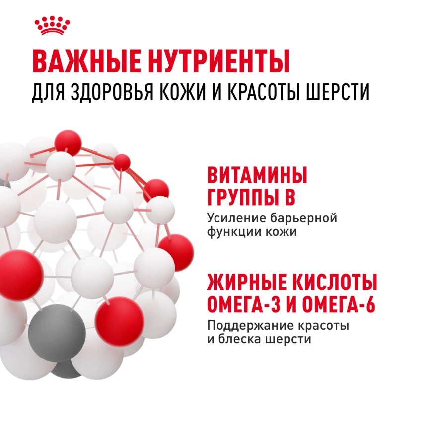 Сухой корм Royal Canin Medium Dermacomfort для собак, 3 кг фото 5