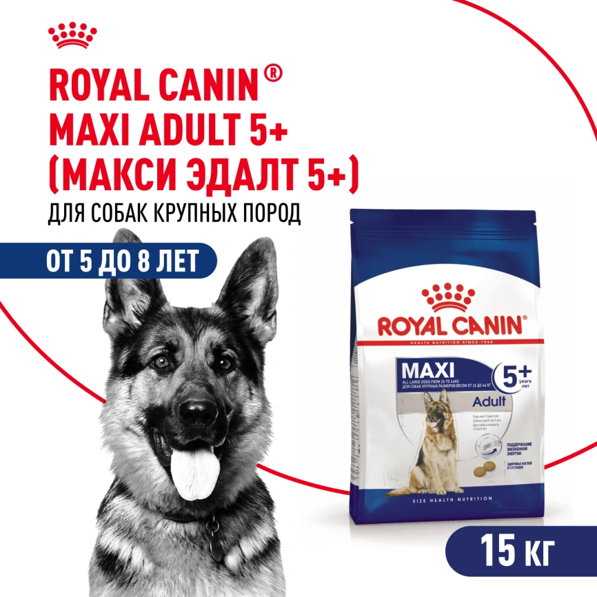 Сухой корм Royal Canin Maxi Adult 5+ для собак, 15 кг фото 1