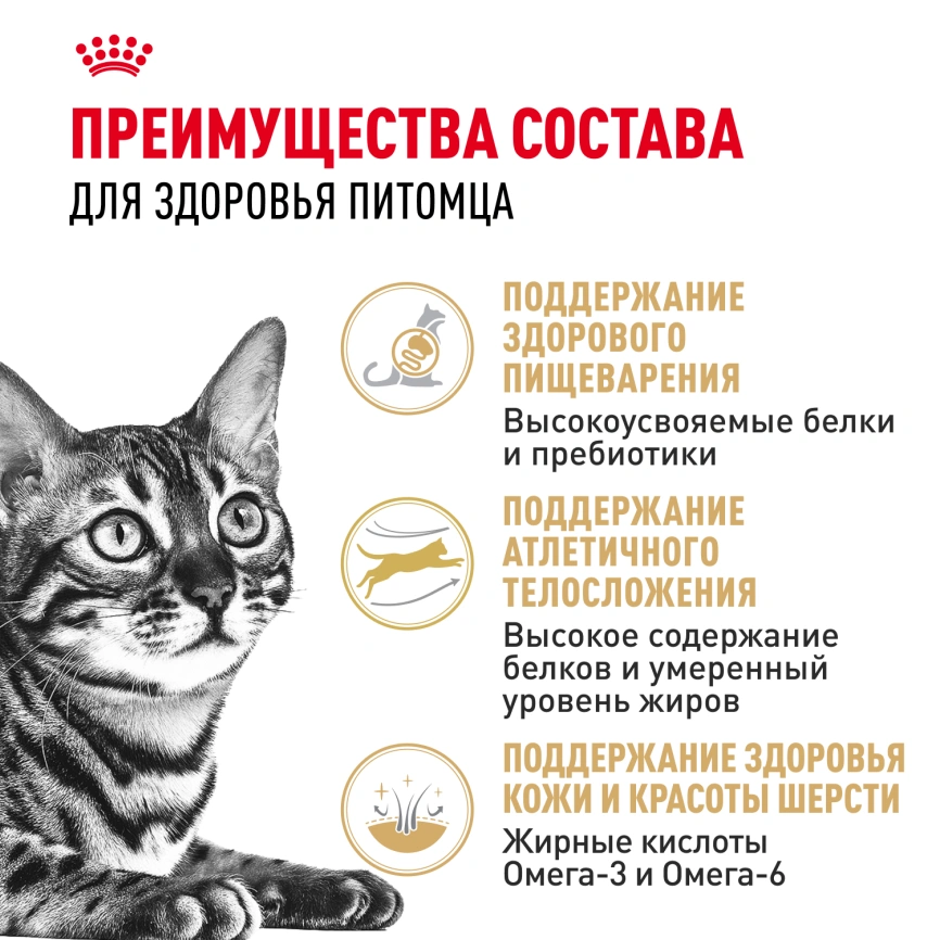 Сухой корм Royal Canin Bengal для кошек бенгальской породы, 400 г фото 3