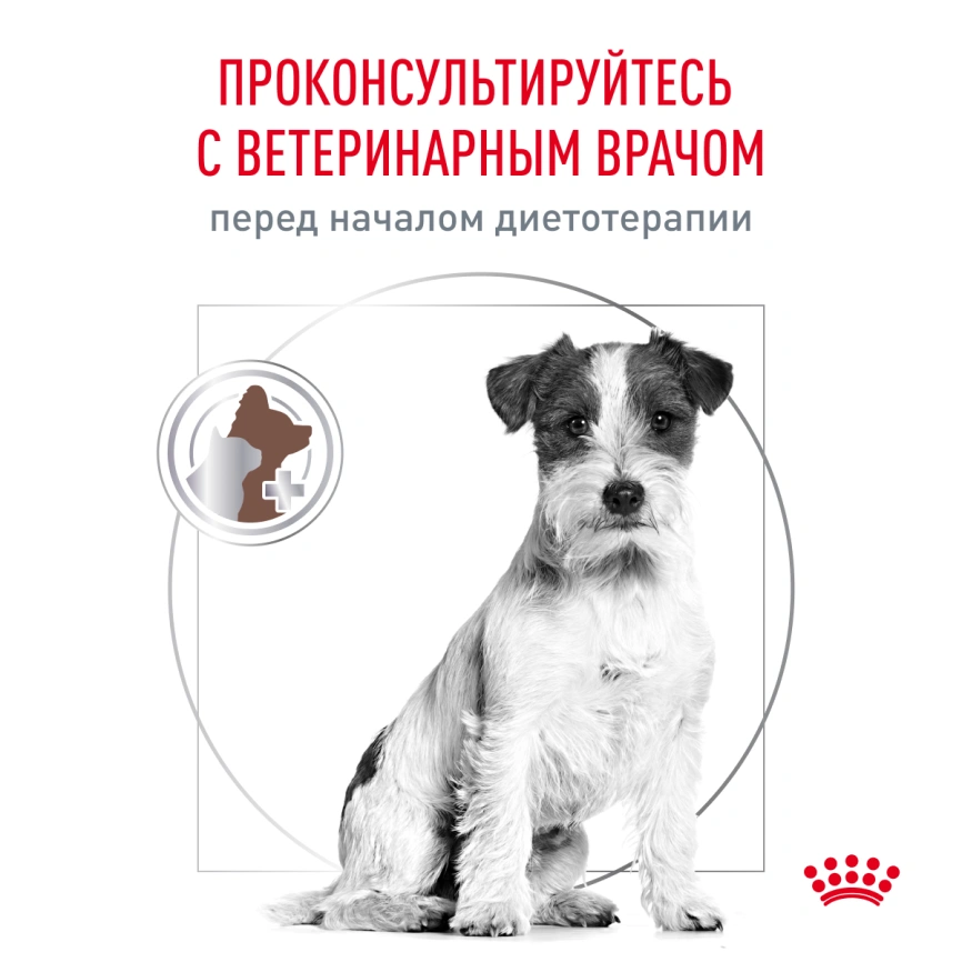 Сухой корм Royal Canin Gastrointestinal Low Fat Small Dogs для собак, 1 кг фото 7