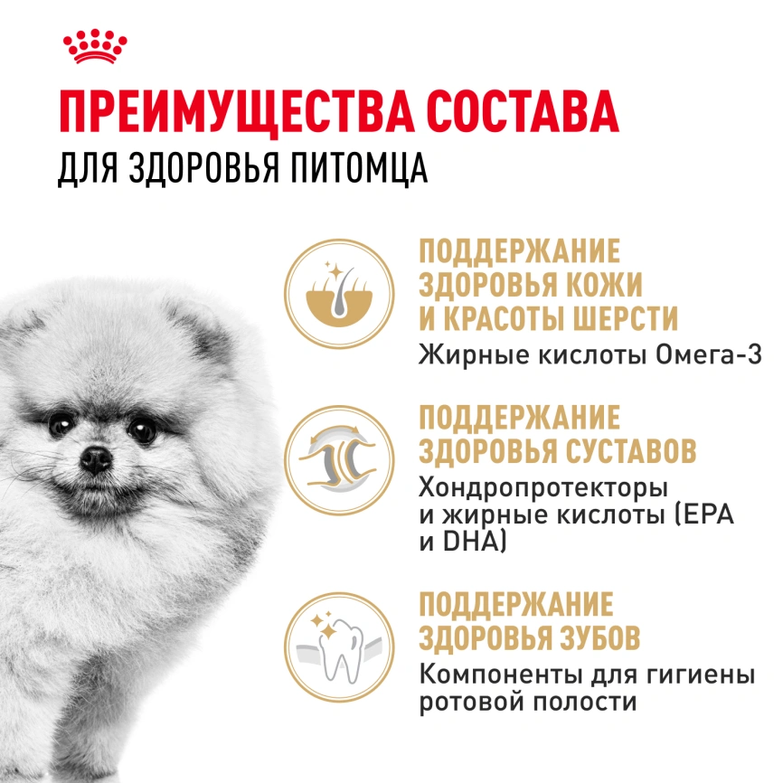 Сухой корм Royal Canin Pomeranian Adult для собак породы померанский шпиц, 1.5 кг фото 3