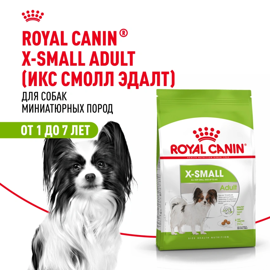 Сухой корм Royal Canin X-Small Adult для собак, 500 г фото 23