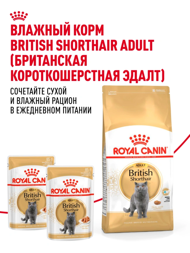 Сухой корм Royal Canin British Shorthair для кошек породы британская короткошерстная, 4 кг фото 26