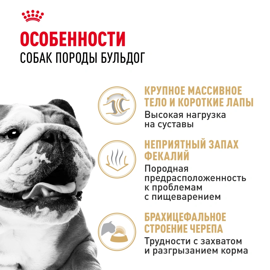 Сухой корм Royal Canin Bulldog Adult для собак породы английский бульдог, 3 кг фото 2