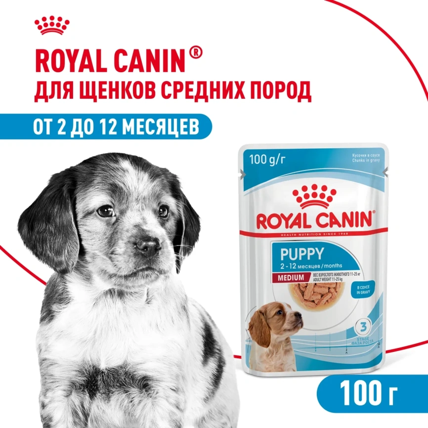 Влажный корм Royal Canin Medium Puppy для щенков средних пород в соусе, 100 г фото 1