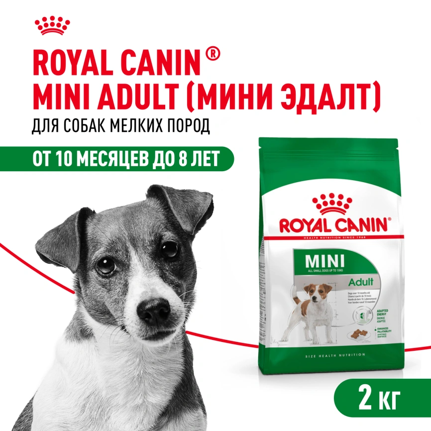 Сухой корм Royal Canin Mini Adult для взрослых собак, 2 кг фото 1