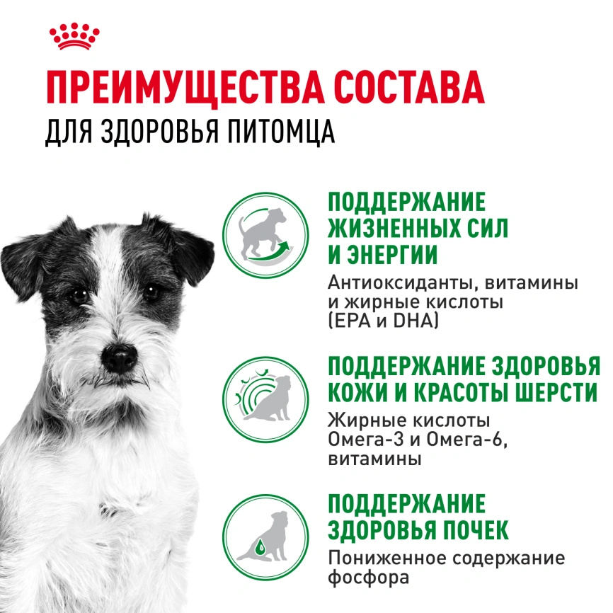 Влажный корм Royal Canin Mini Ageing 12+ в соусе для стареющих собак мелких пород старше 12 лет, пауч, 85 г фото 3