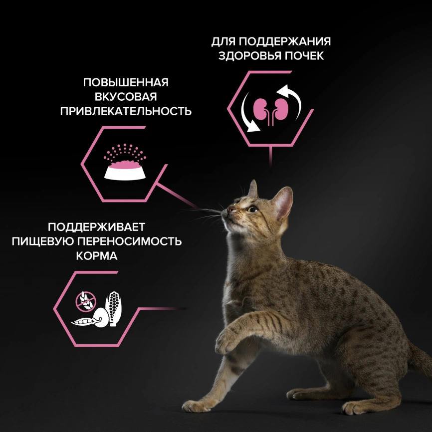 Сухой корм Purina Pro Plan Delicate для кошек с чувствительным пищеварением, с ягненком, 3 кг фото 2
