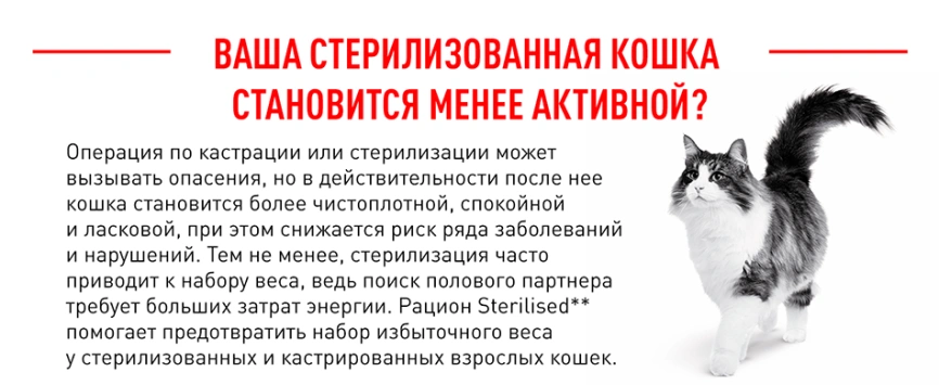 Сухой корм Royal Canin Sterilised для кастрированных котов и стерилизованных кошек, 400 г фото 4